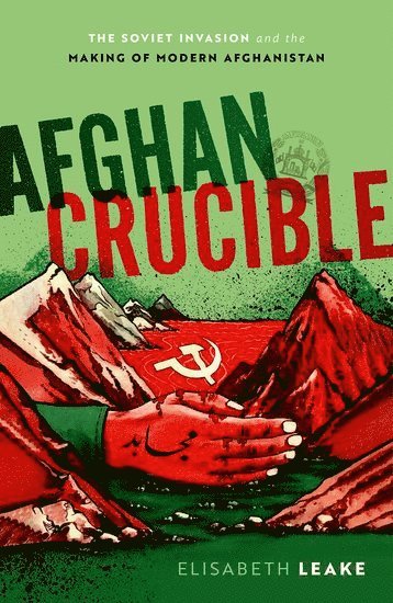 bokomslag Afghan Crucible