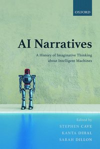 bokomslag AI Narratives