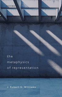 bokomslag Metaphysics of Representation