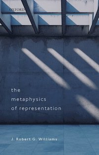 bokomslag The Metaphysics of Representation