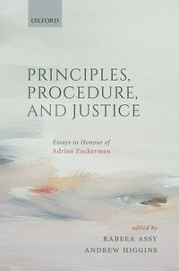 bokomslag Principles, Procedure, and Justice