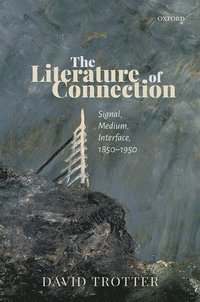 bokomslag The Literature of Connection