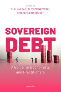 bokomslag Sovereign Debt