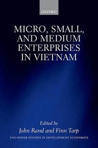 bokomslag Micro, Small, and Medium Enterprises in Vietnam