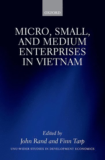 Micro, Small, and Medium Enterprises in Vietnam 1