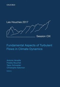 bokomslag Fundamental Aspects of Turbulent Flows in Climate Dynamics