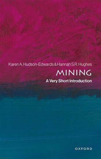 bokomslag Mining