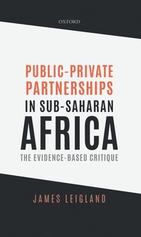 bokomslag Public-Private Partnerships in Sub-Saharan Africa