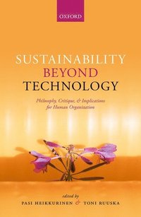 bokomslag Sustainability Beyond Technology