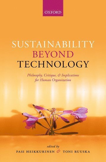 bokomslag Sustainability Beyond Technology