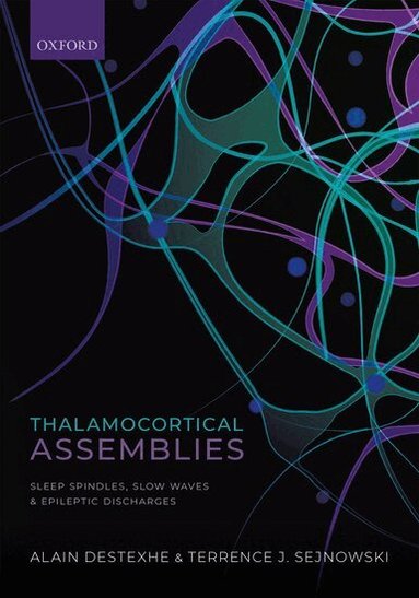 Alain Destexhe, Terrence Sejknowski - Thalamocortical Assemblies, Häftad