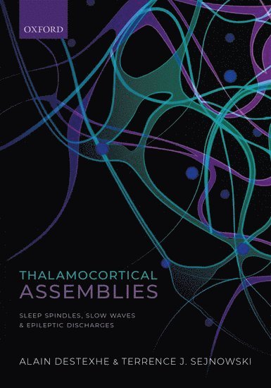 Thalamocortical Assemblies 1
