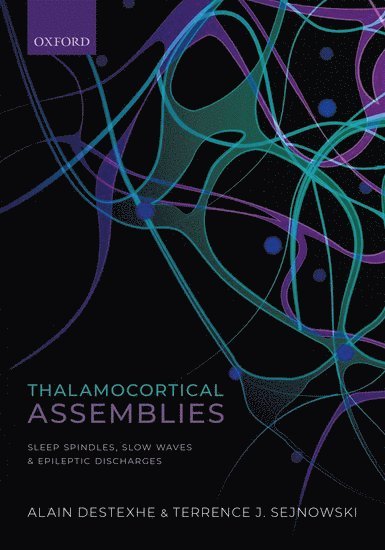 Thalamocortical Assemblies