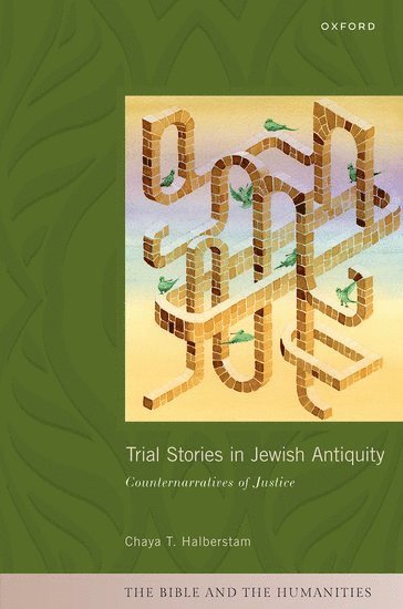 bokomslag Trial Stories in Jewish Antiquity