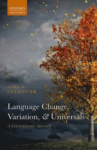 bokomslag Language Change, Variation, and Universals