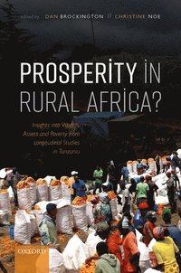 bokomslag Prosperity in Rural Africa?