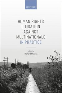 bokomslag Human Rights Litigation against Multinationals in Practice