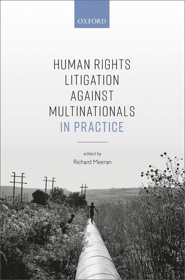 Human Rights Litigation against Multinationals in Practice 1