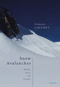 bokomslag Snow Avalanches