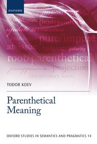 bokomslag Parenthetical Meaning