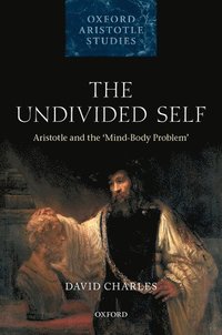 bokomslag The Undivided Self