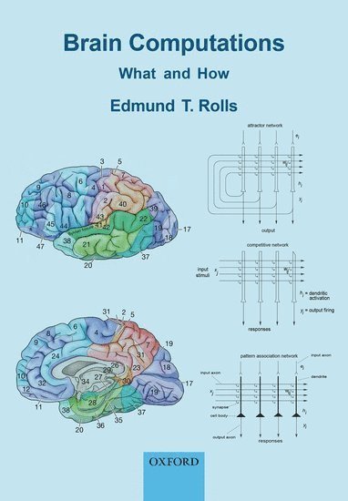 bokomslag Brain Computations: What and How