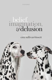 bokomslag Belief, Imagination, and Delusion