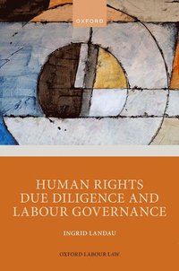 bokomslag Human Rights Due Diligence and Labour Governance