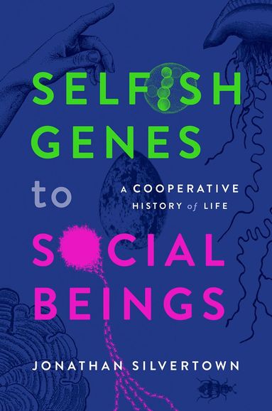 bokomslag Selfish Genes to Social Beings