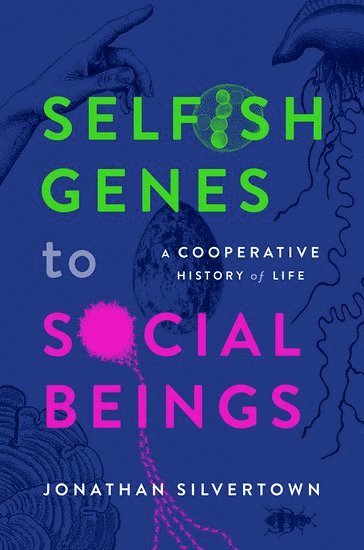 Selfish Genes to Social Beings 1