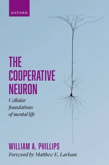 bokomslag The Cooperative Neuron