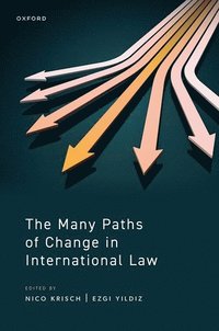 bokomslag The Many Paths of Change in International Law