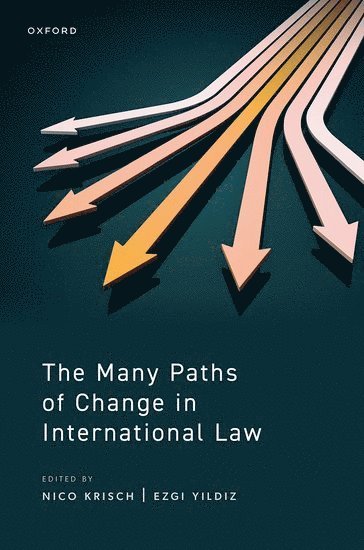 bokomslag Many Paths of Change in International Law
