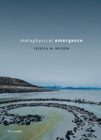 bokomslag Metaphysical Emergence