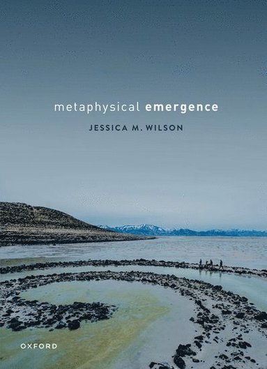 bokomslag Metaphysical Emergence