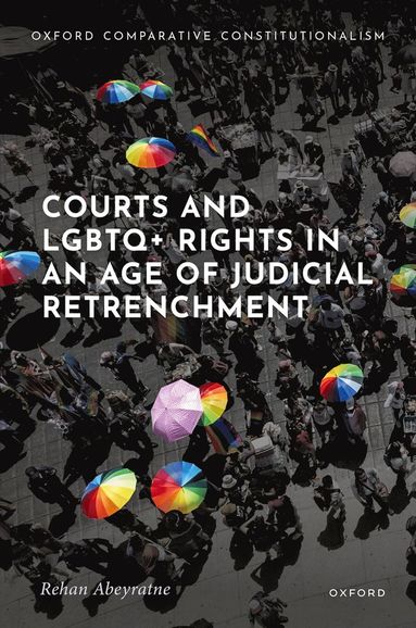 bokomslag Courts and LGBTQ+ Rights in an Age of Judicial Retrenchment
