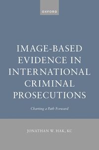 bokomslag Image-Based Evidence in International Criminal Prosecutions