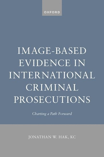 bokomslag Image-Based Evidence in International Criminal Prosecutions