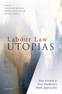 bokomslag Labour Law Utopias