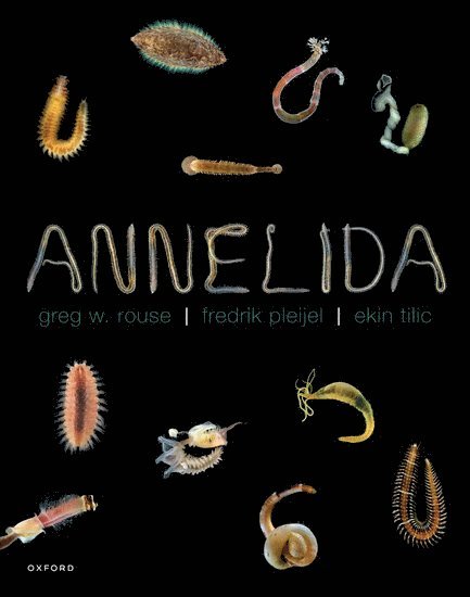 Annelida 1