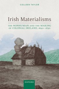 bokomslag Irish Materialisms