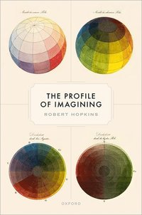 bokomslag The Profile of Imagining