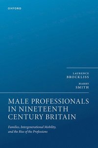 bokomslag Male Professionals in Nineteenth Century Britain