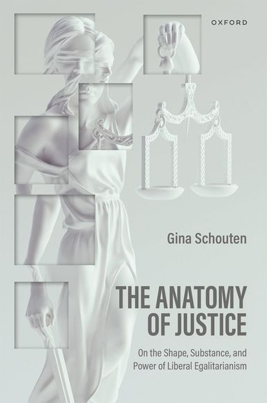 bokomslag Anatomy of Justice