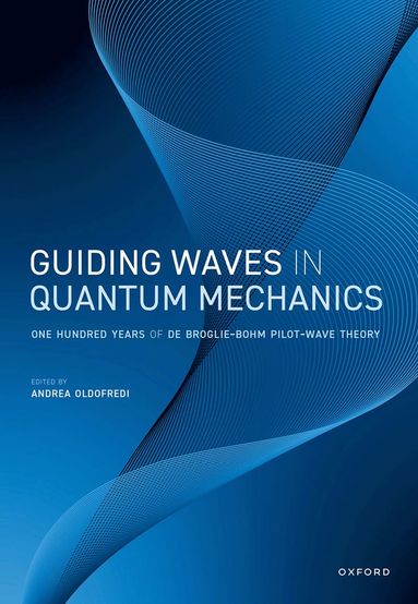 bokomslag Guiding Waves in Quantum Mechanics