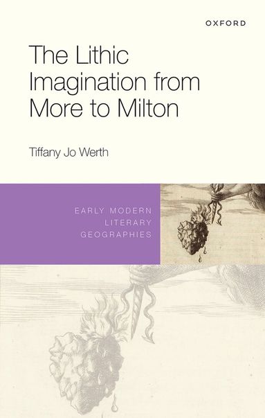 bokomslag The Lithic Imagination from More to Milton