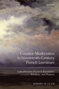 bokomslag Counter-Modernities in Nineteenth-Century French Literature