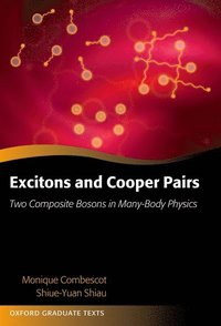 bokomslag Excitons and Cooper Pairs