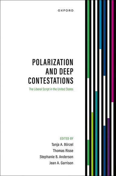 bokomslag Polarization and Deep Contestations