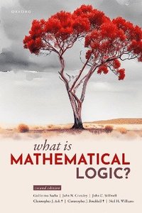 bokomslag What Is Mathematical Logic?